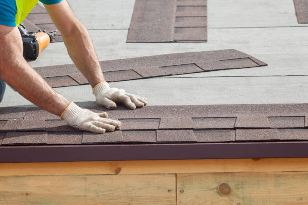 Best Asphalt Shingle Roofing  in Colona, IL